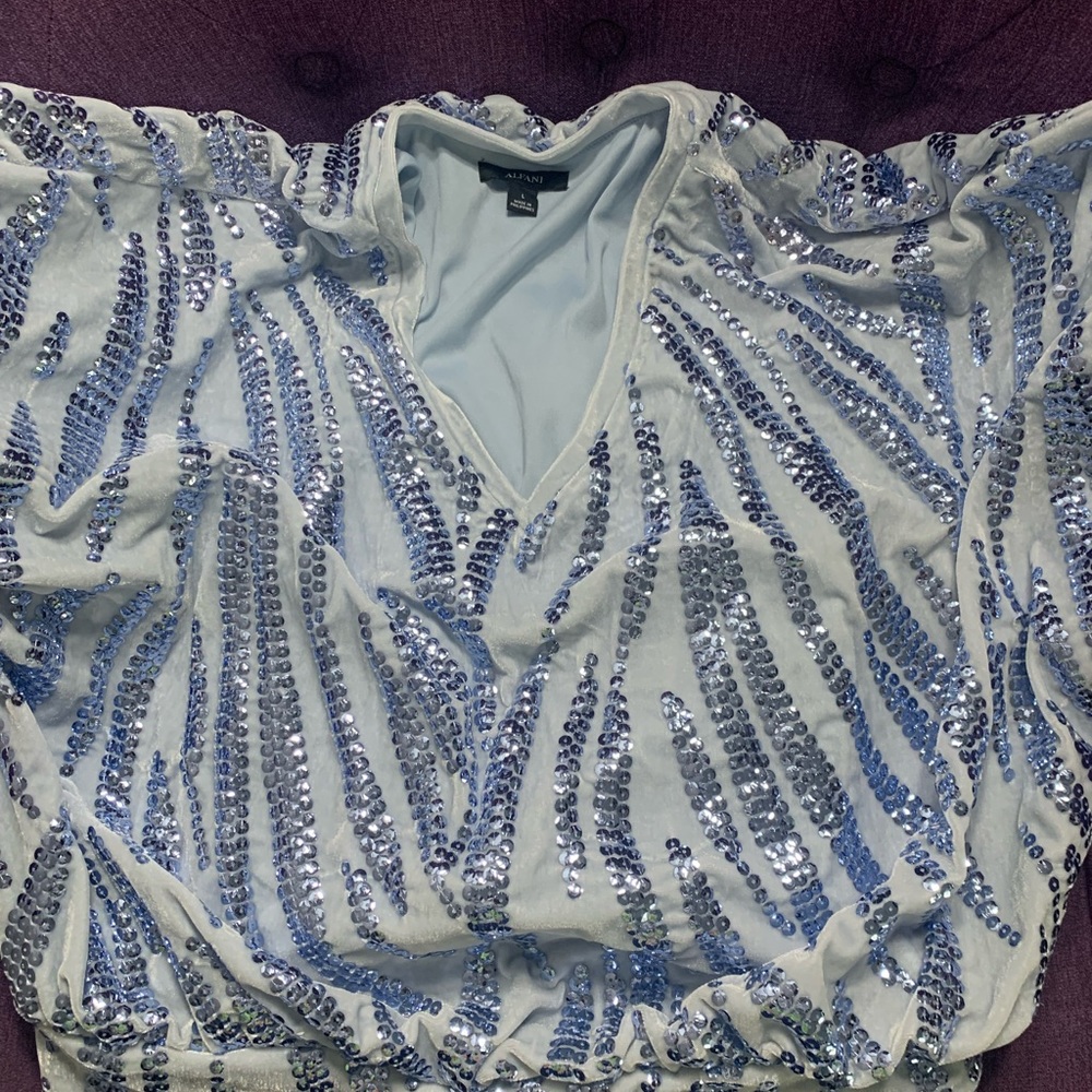 Baby blue velour and sequined blouse